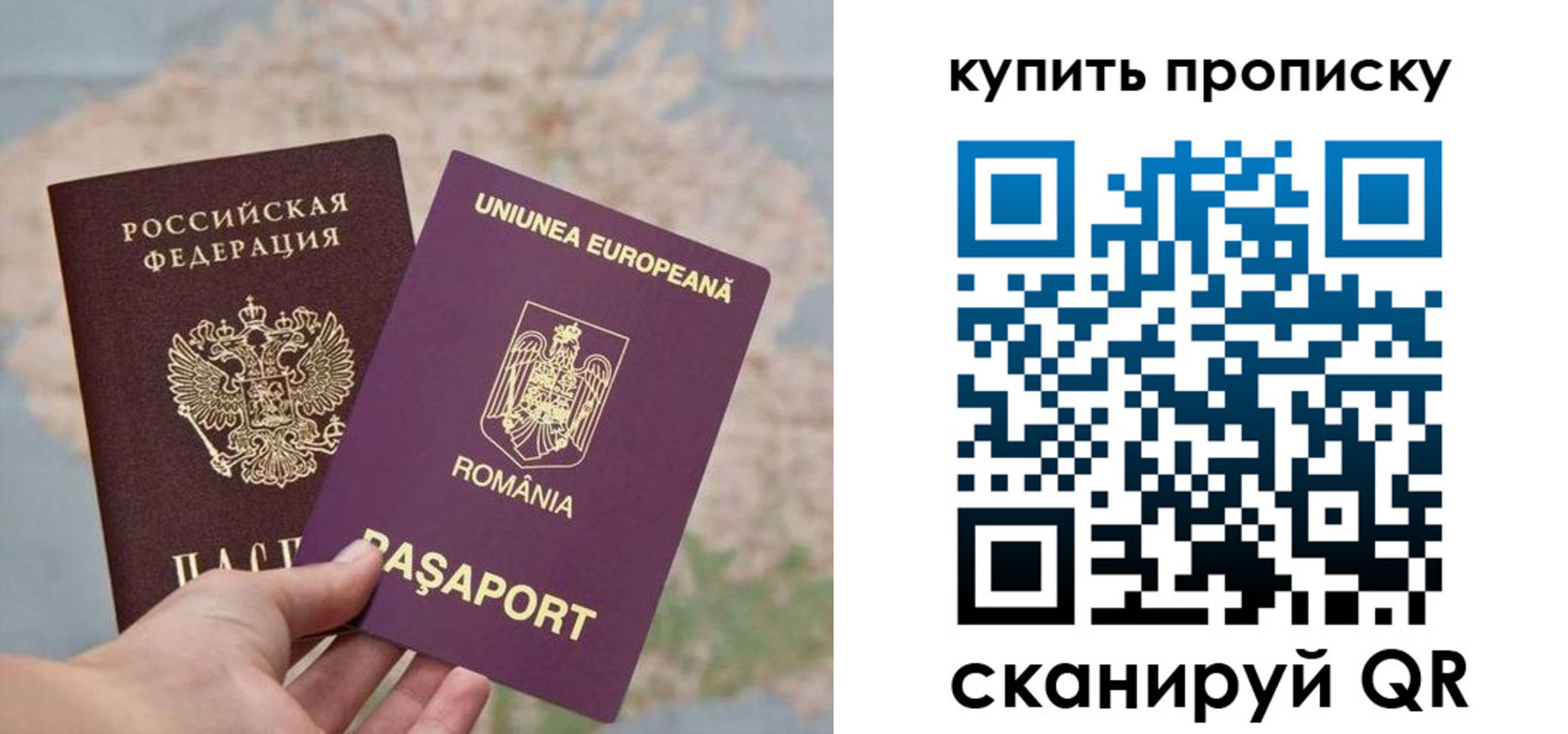 временная регистрация поиск в Елизово