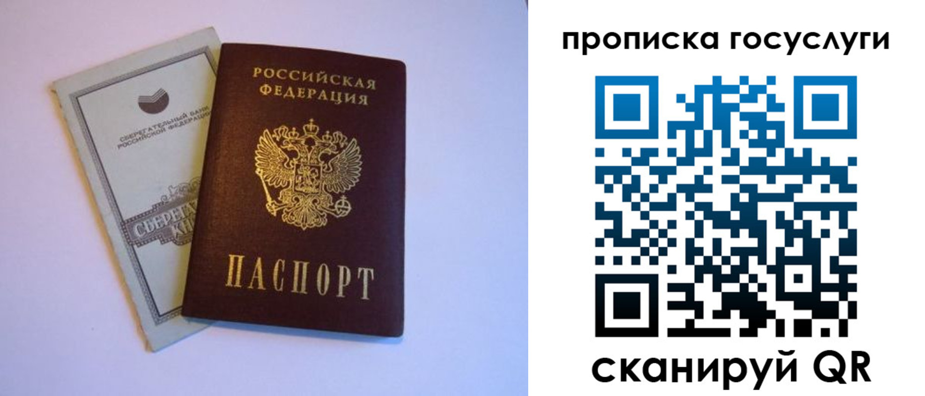 временная регистрация госуслуги в Елизово